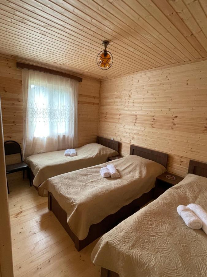 Warm House Pensionat Kazbegi Eksteriør billede