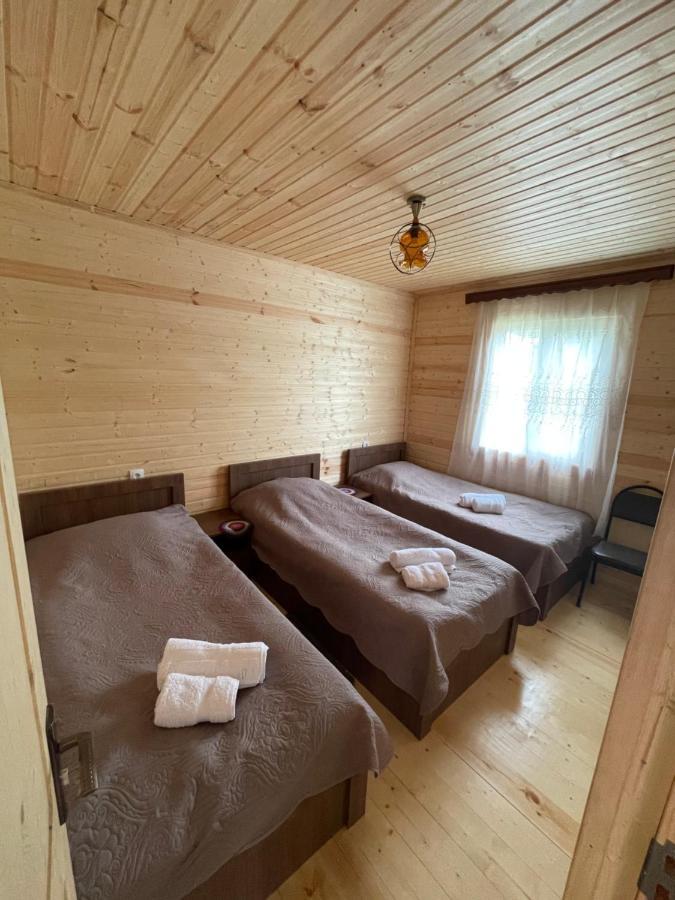 Warm House Pensionat Kazbegi Eksteriør billede