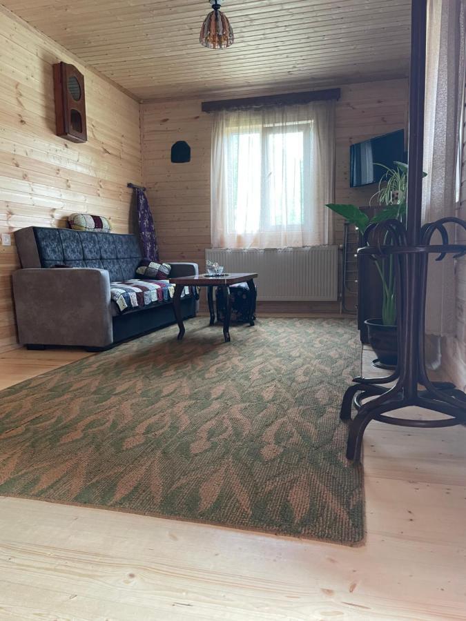Warm House Pensionat Kazbegi Eksteriør billede